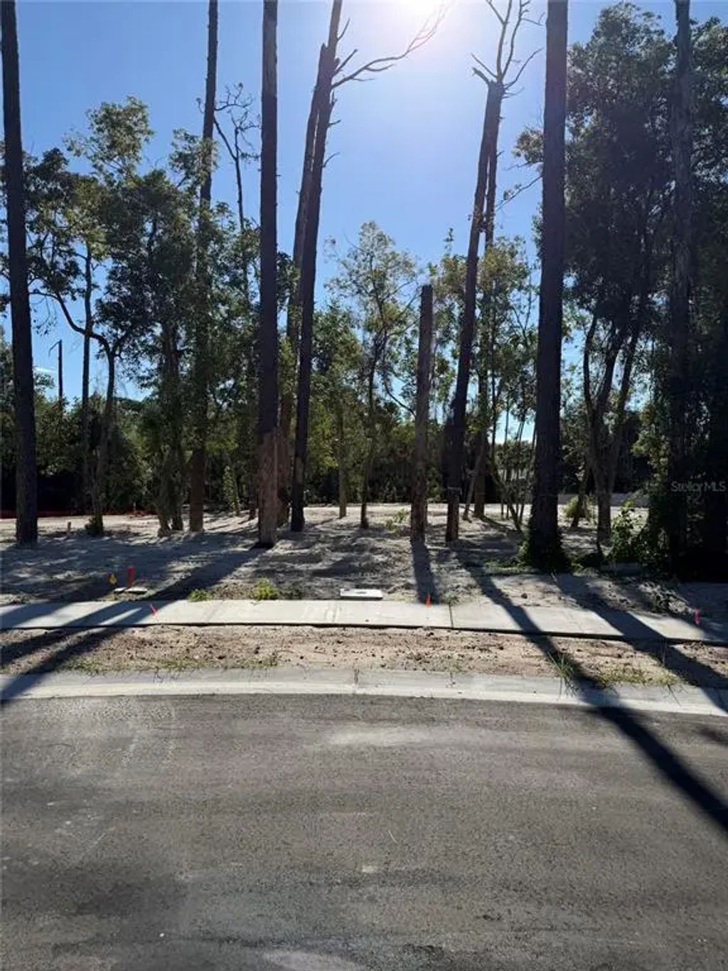 1302 Almaria Court, PALM HARBOR