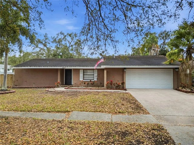 4602 Buckeye Road, TAMPA
