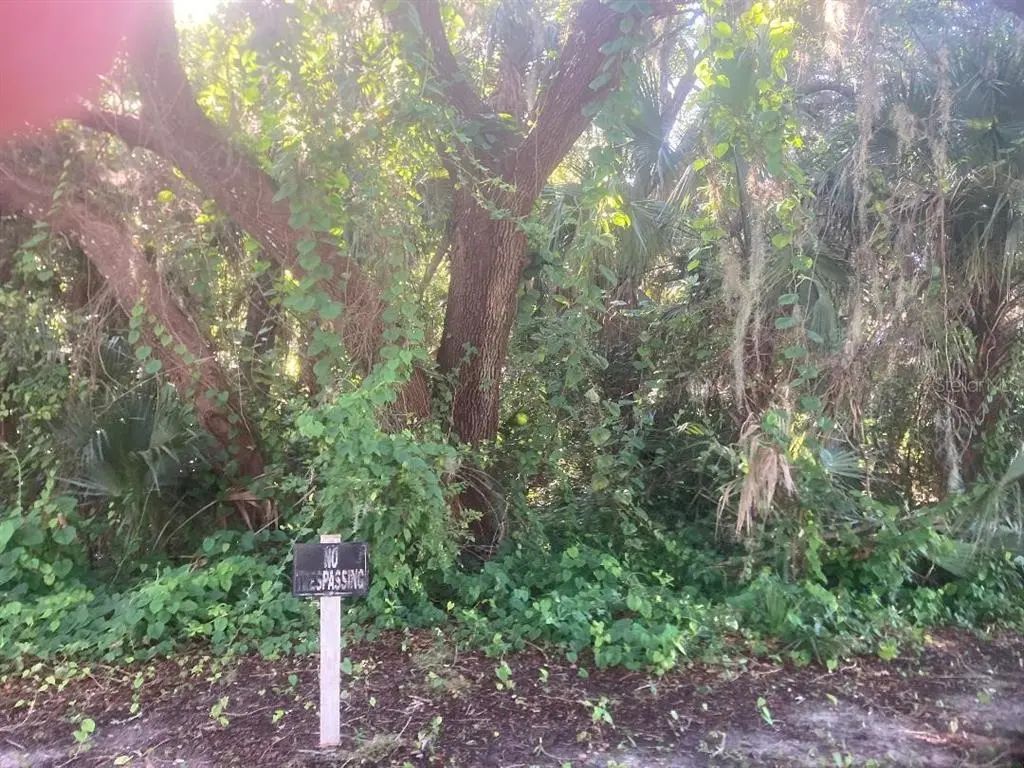 Nancy Street, OAK HILL