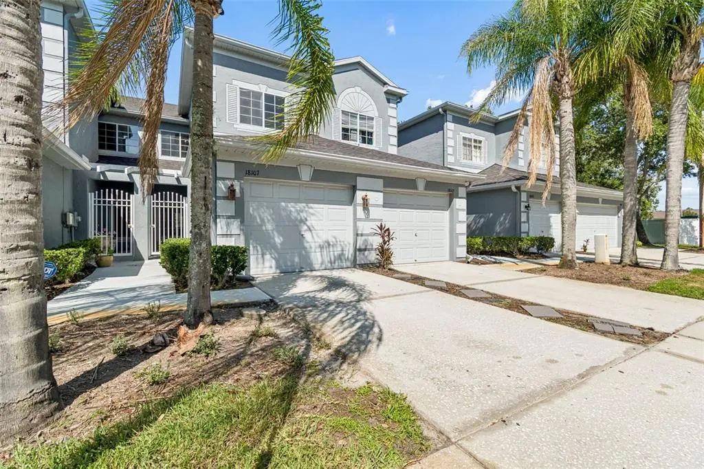 18107 Nassau Point Dr, TAMPA