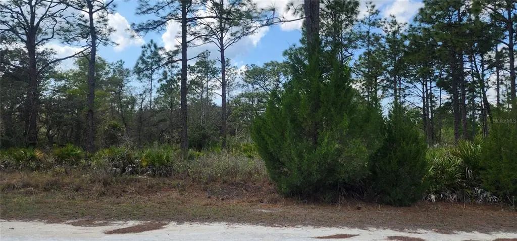 18119 Parrot Road, WEEKI WACHEE