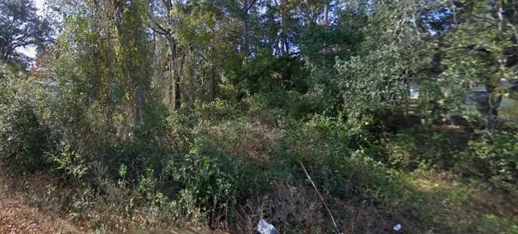 Se 172nd Avenue, SILVER SPRINGS