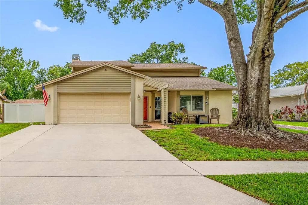 15816 Hound Horn Lane, TAMPA