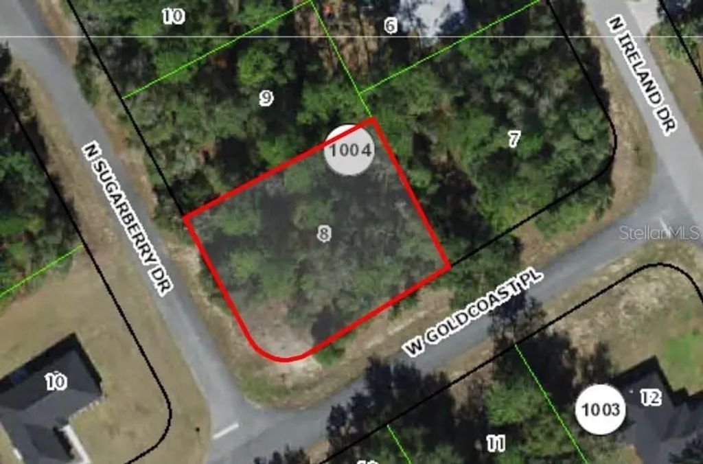 7363 N Sugarberry Drive, Citrus Springs