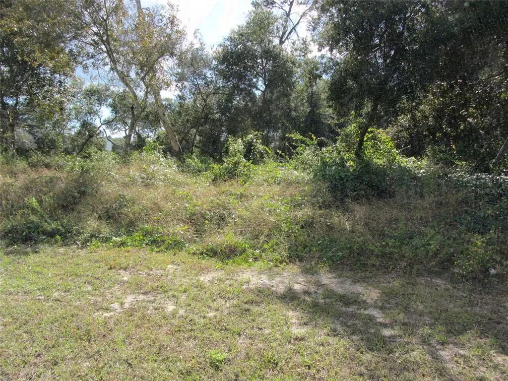 1680 Catalina Blvd, DELTONA