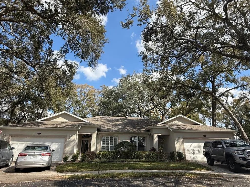 8633 Alexandra Arbor Lane, TEMPLE TERRACE