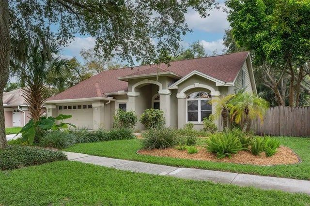 5308 Windbrush Drive, TAMPA
