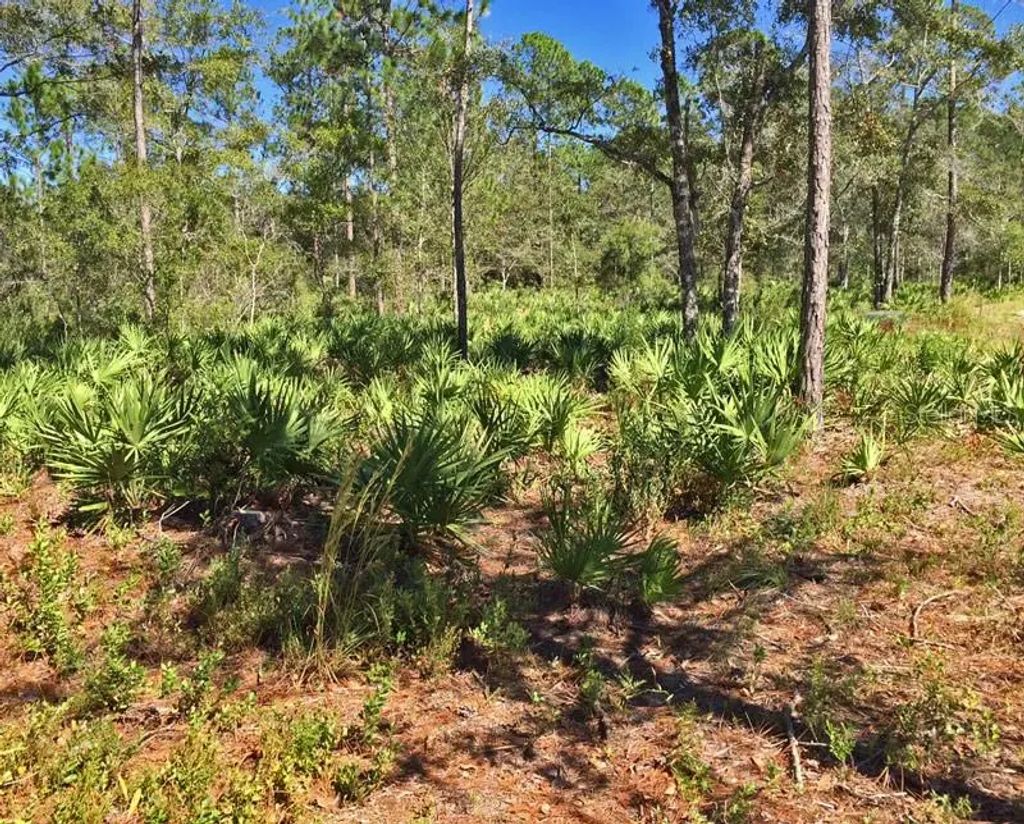8503 W Freemont Street, Homosassa