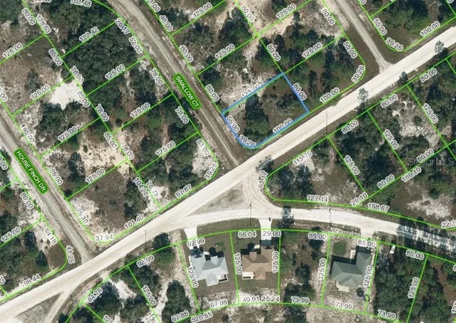 420 Swallow Court, LAKE PLACID