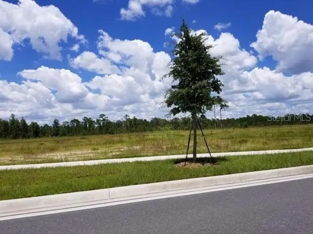 Photo of Listing #O6075105