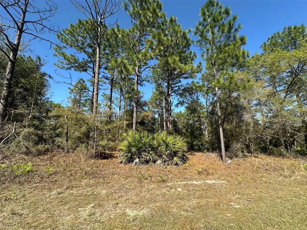 833 W Champlain Lane, CITRUS SPRINGS