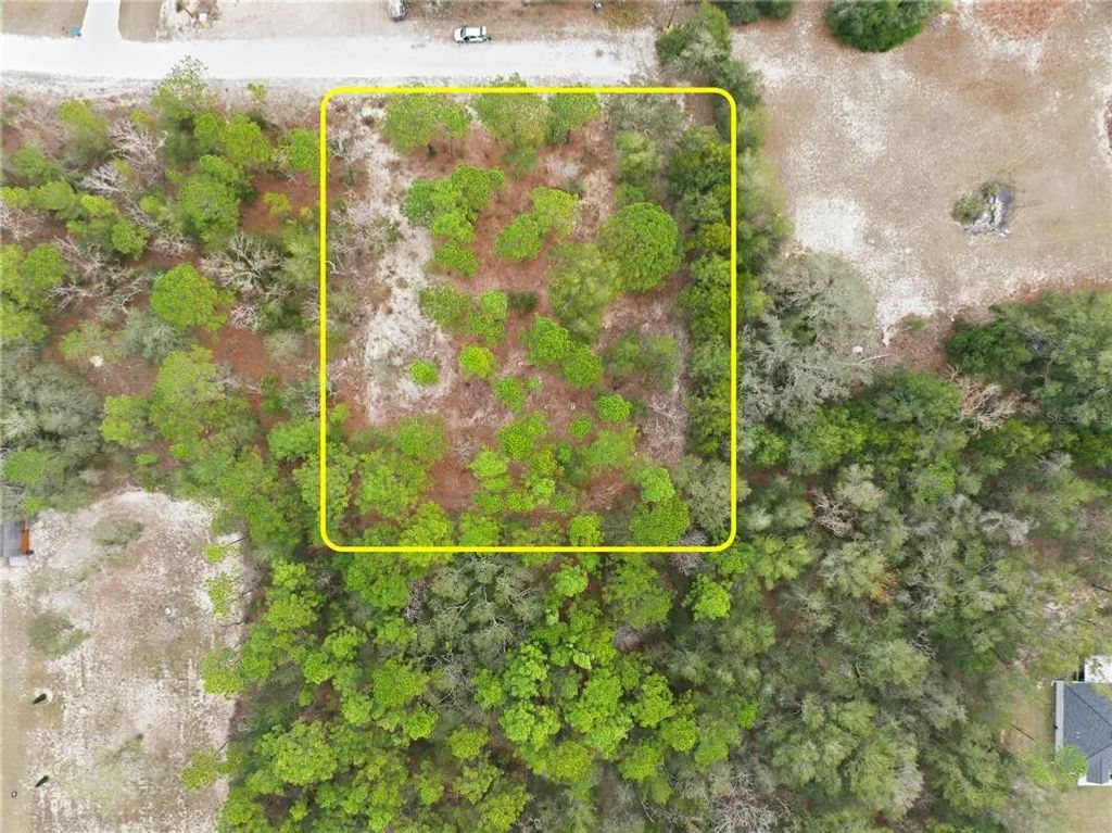 Cormorant Road, WEEKI WACHEE