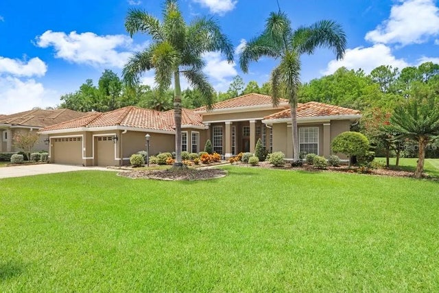 12029 Brewster Drive, TAMPA