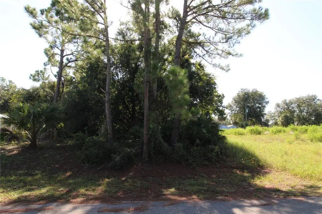 Chamrade Road, NORTH PORT