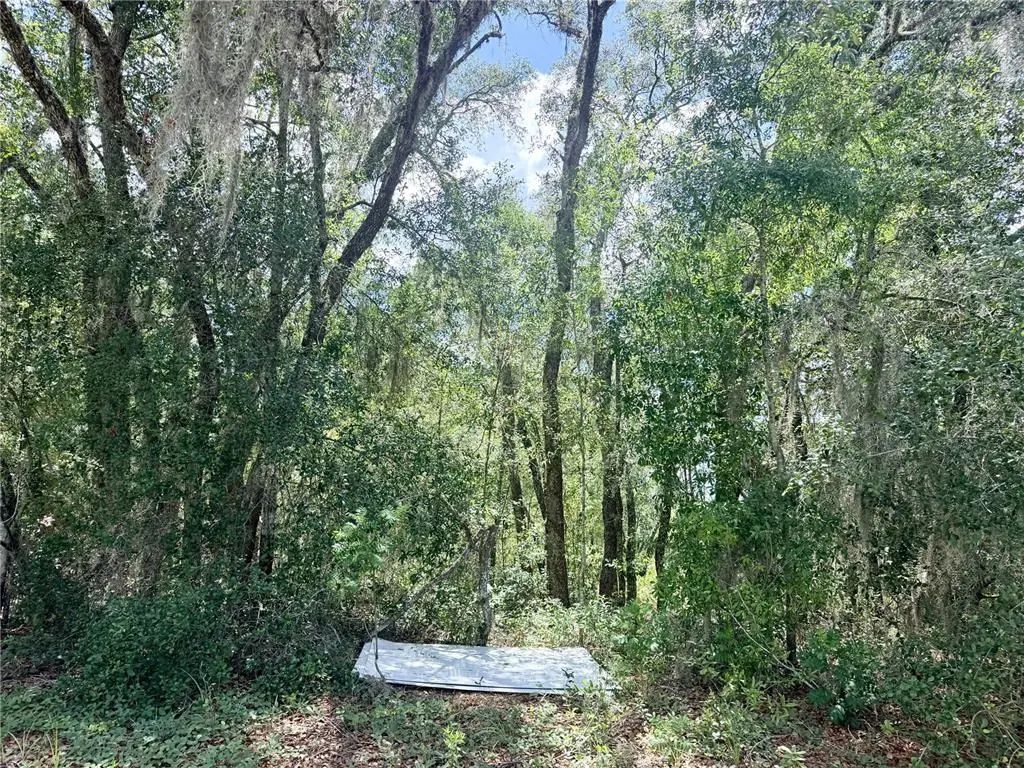 7932 N Elkcam Boulevard, CITRUS SPRINGS