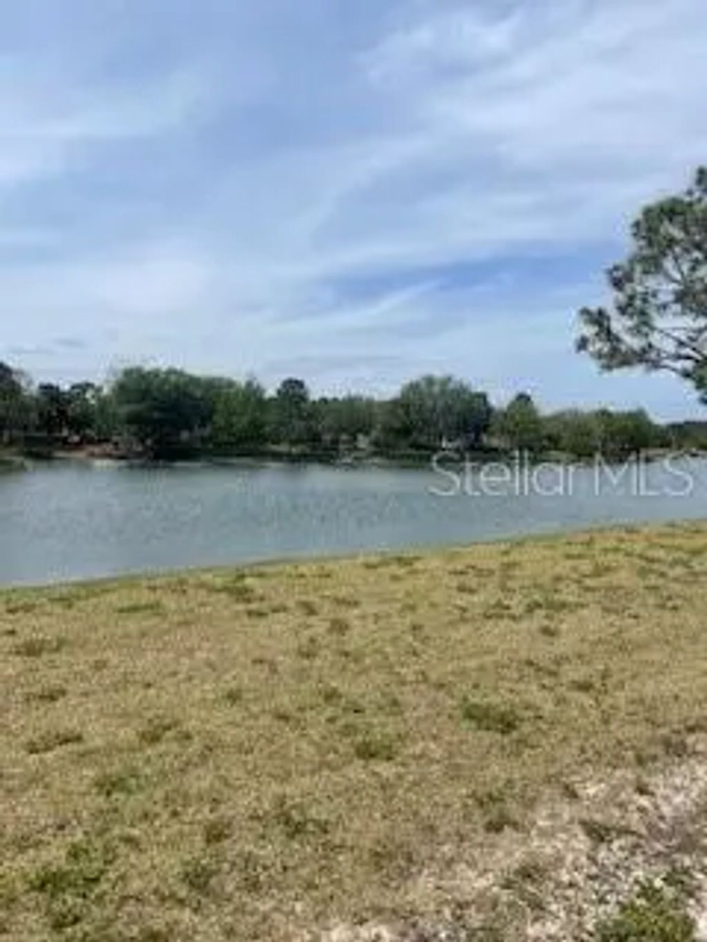 699 Mahogany Run, PALM COAST