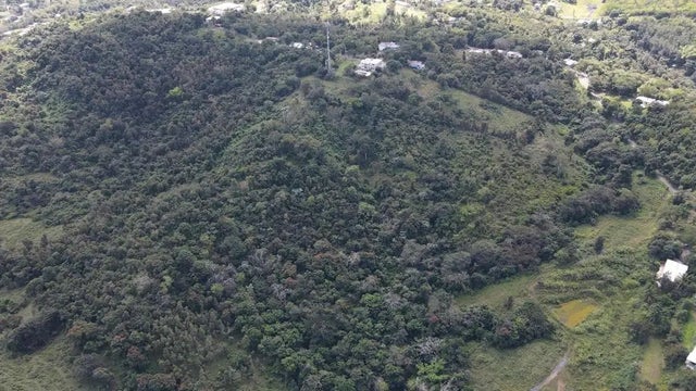 St 962 Km.hm 5.6 Bo Cambalache 4,6,7,8, CANOVANAS