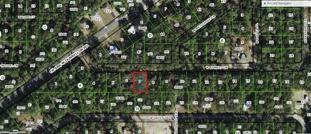 9712 W Pomelo Lane, Crystal River