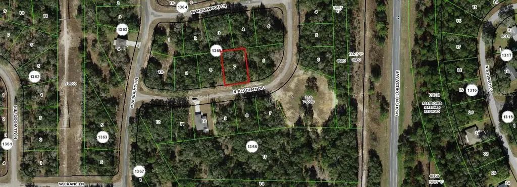 11151 N Academy Drive, CITRUS SPRINGS