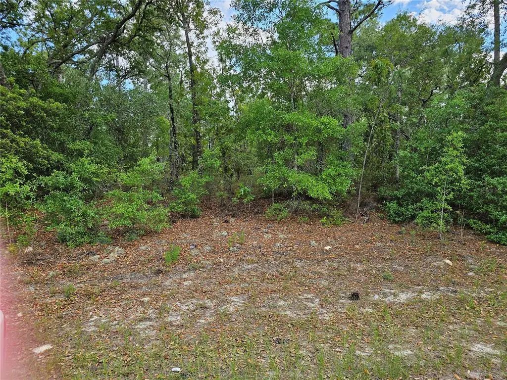 767 E Byrd, DUNNELLON