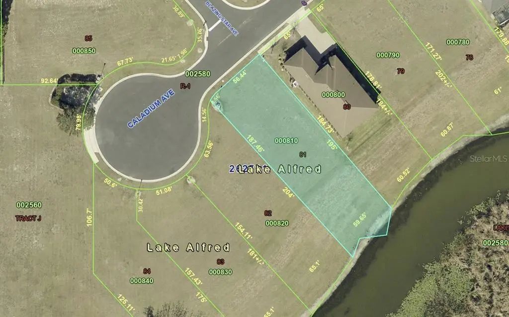 120 Caladium Ave, LAKE ALFRED