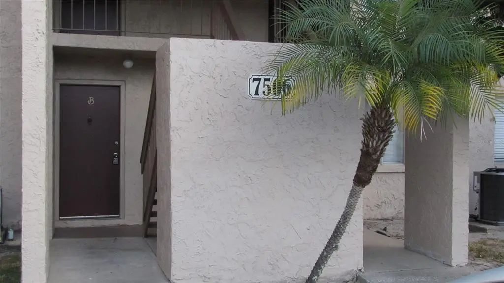 7506 Needle Leaf Place 56, TAMPA