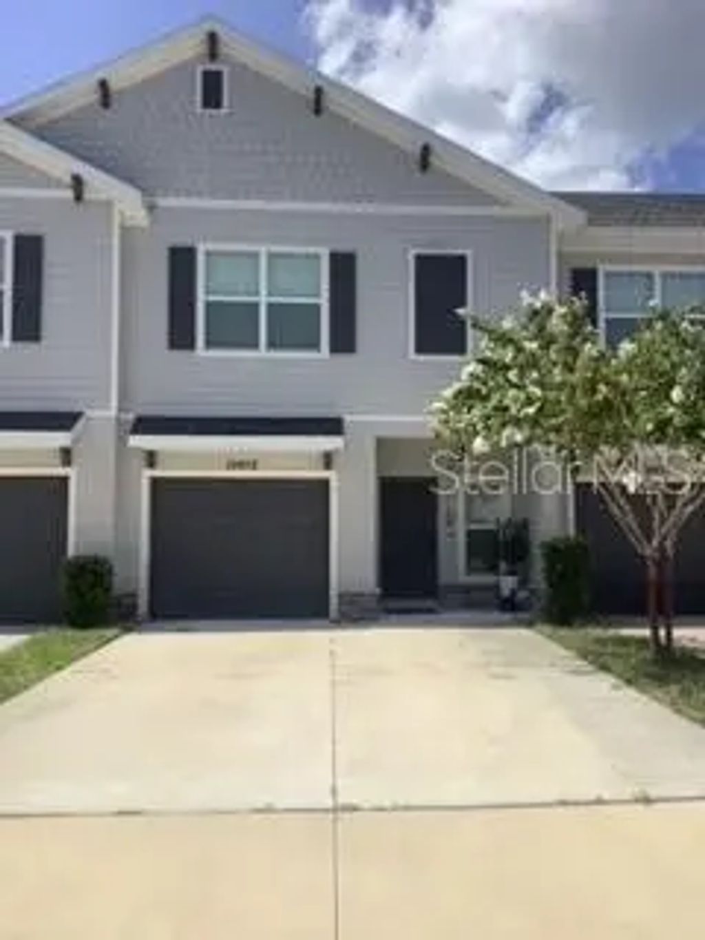 10972 Brightleaf Court, RIVERVIEW