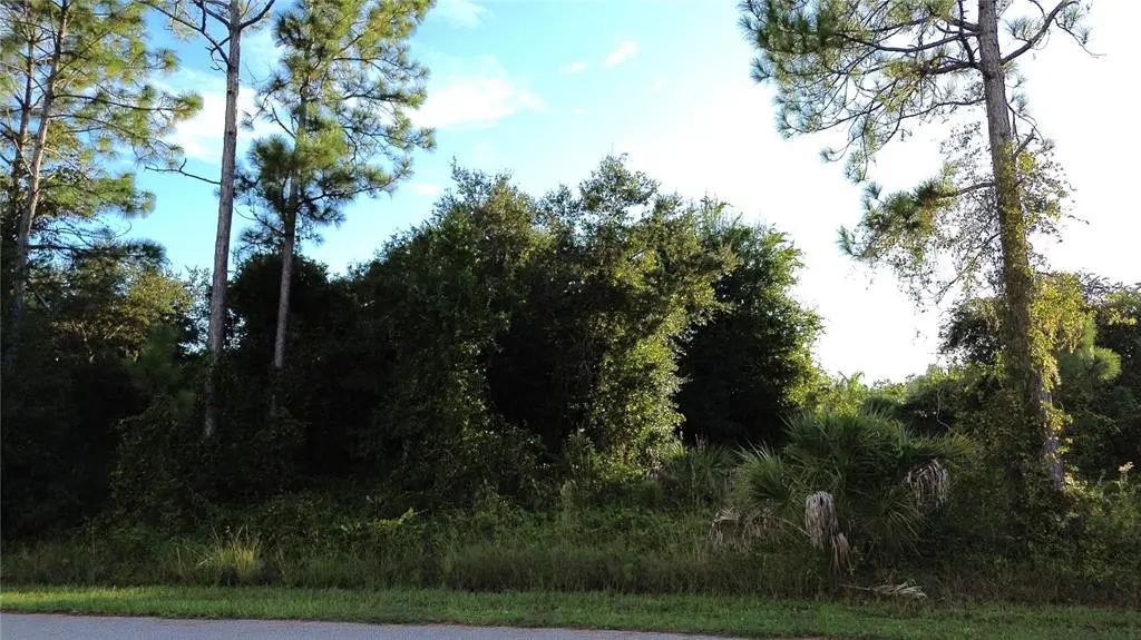 Kingsman Avenue, NORTH PORT