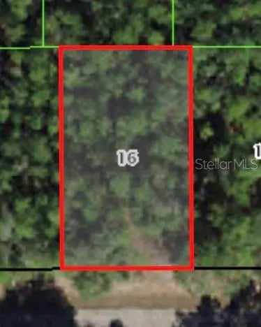 368 E Mc Faddin Place, CITRUS SPRINGS