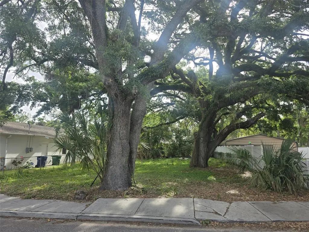 4509 N 37th Street, TAMPA