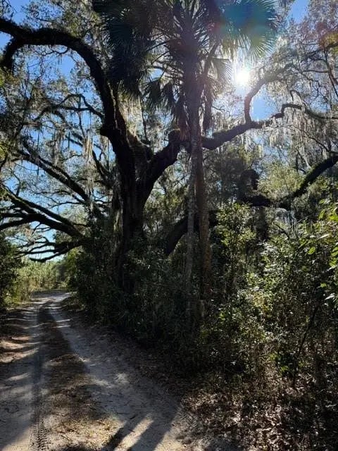 17391 Ne 60th Street, WILLISTON