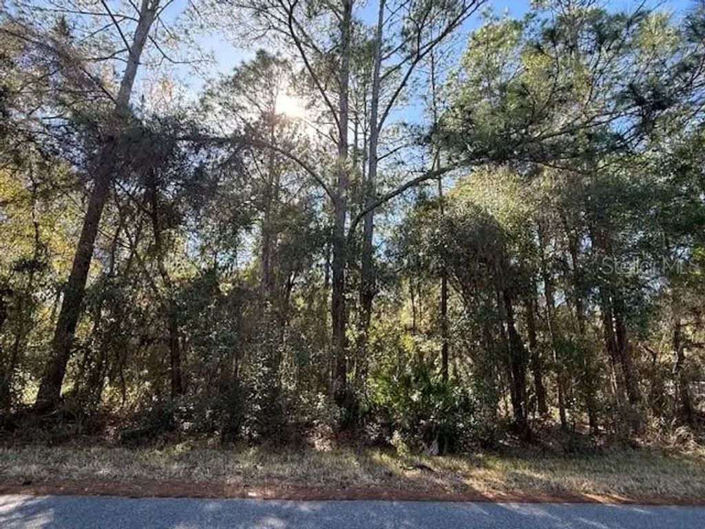 4280 E Nugget Pass Place, Dunnellon