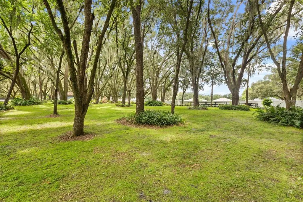 144 Tildenville School Road, WINTER GARDEN
