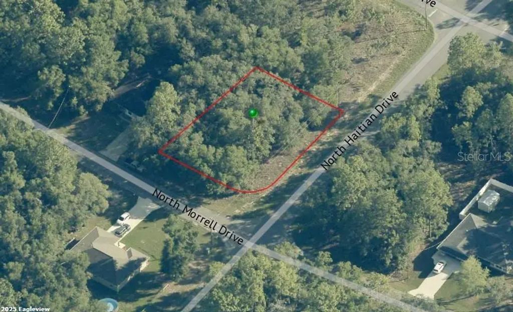 11019 N Morrell Drive, Citrus Springs