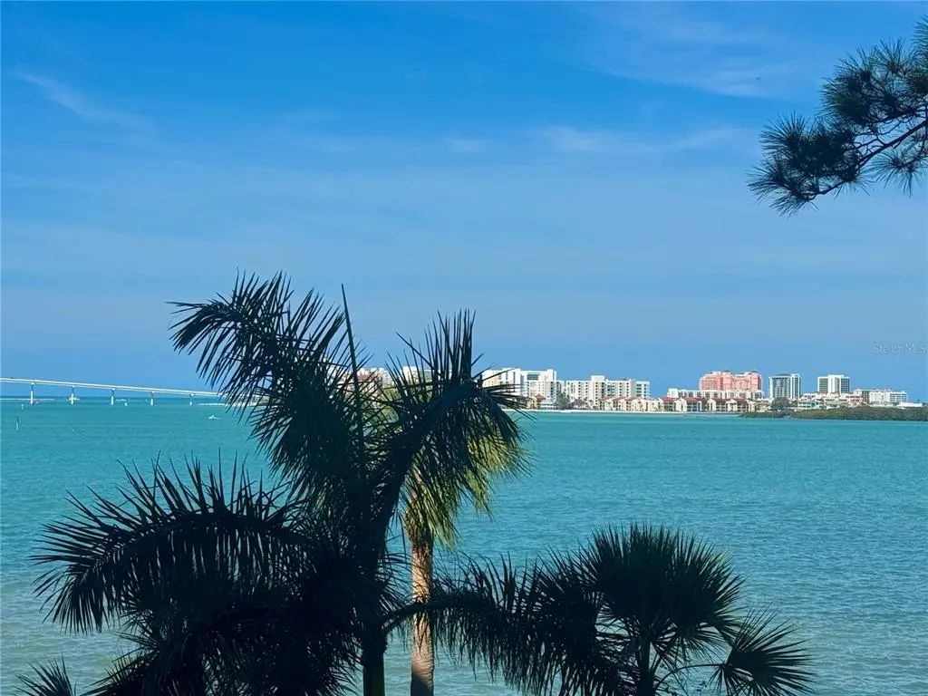 602 Lime Avenue 203, CLEARWATER