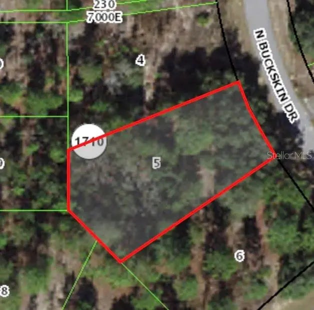 6664 N Buckskin Drive, CITRUS SPRINGS