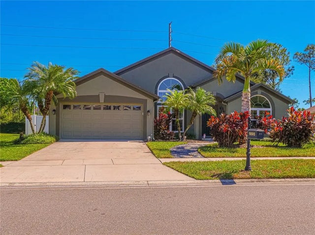 18505 Avocet Drive, LUTZ