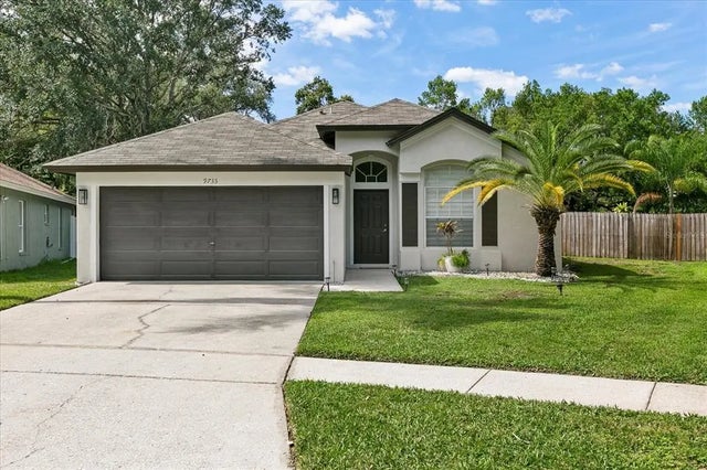 9733 Long Meadow Drive, TAMPA