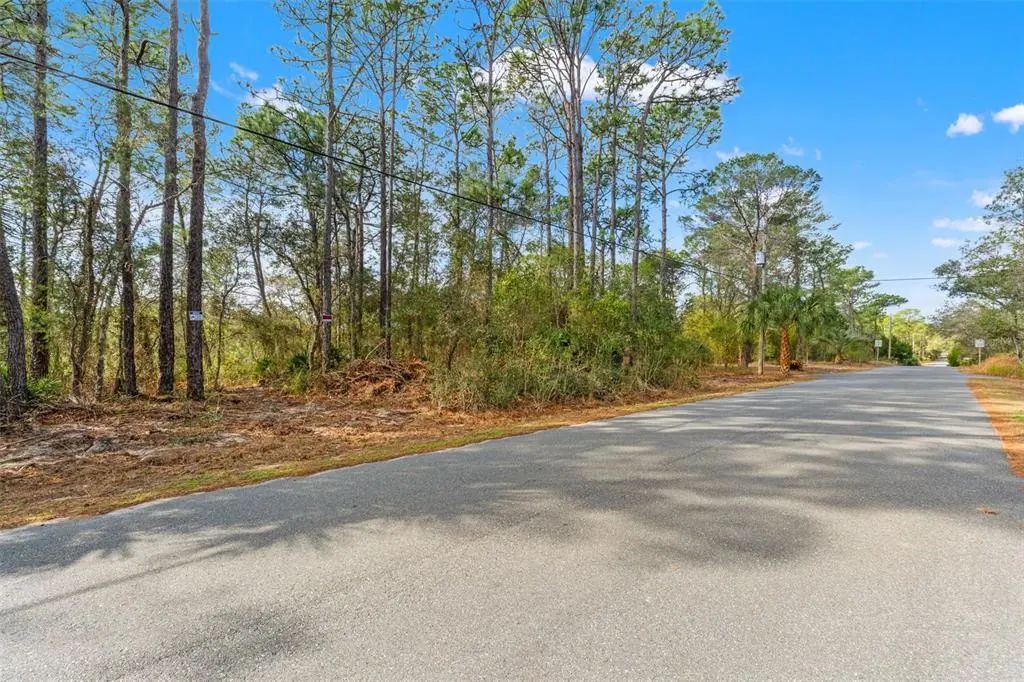 9142 Michigan Avenue, WEEKI WACHEE