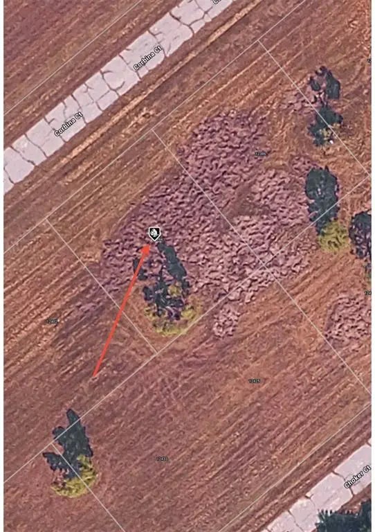 Photo of Listing #O6384362