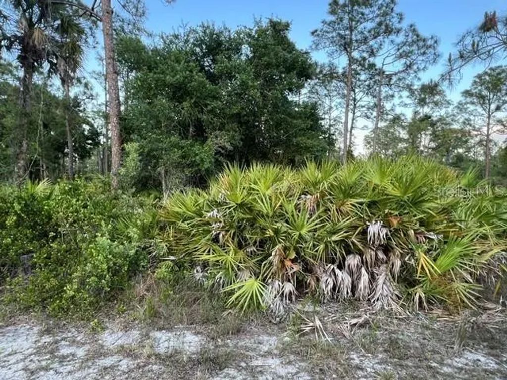 13352 Rodin Drive, PUNTA GORDA