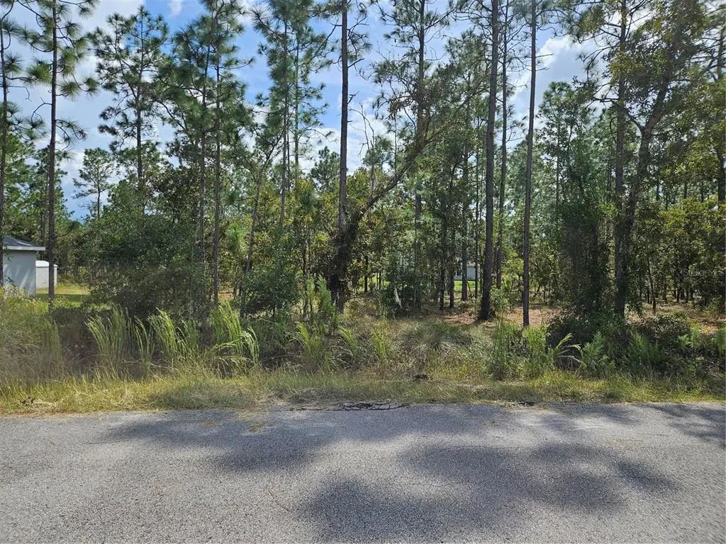 Tbd Nw Tamarind Lane, DUNNELLON