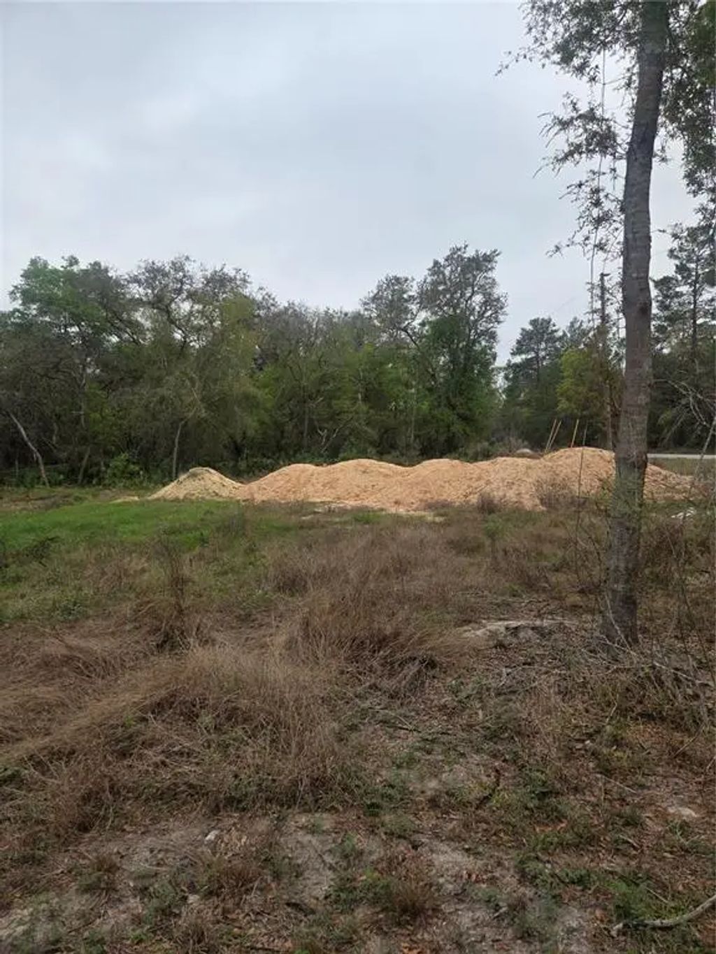 127 Sequoia Trail, OCKLAWAHA