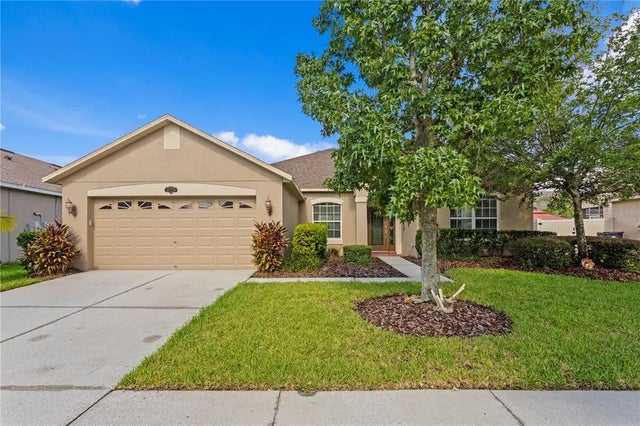 20120 Natures Hike Way, TAMPA