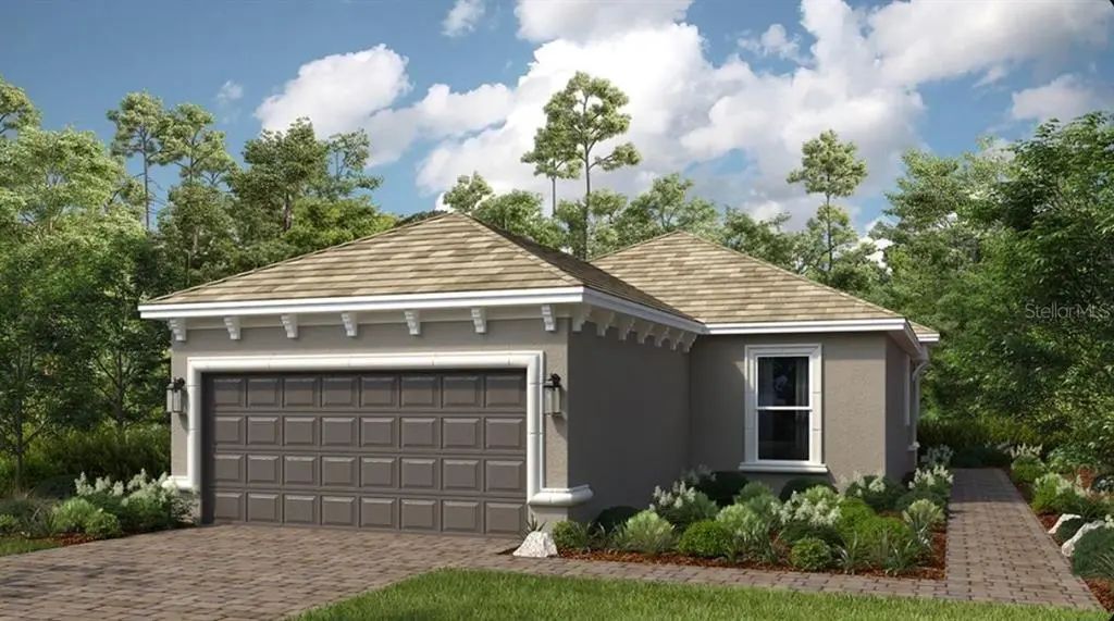 3880 Immacolata Way, WESLEY CHAPEL