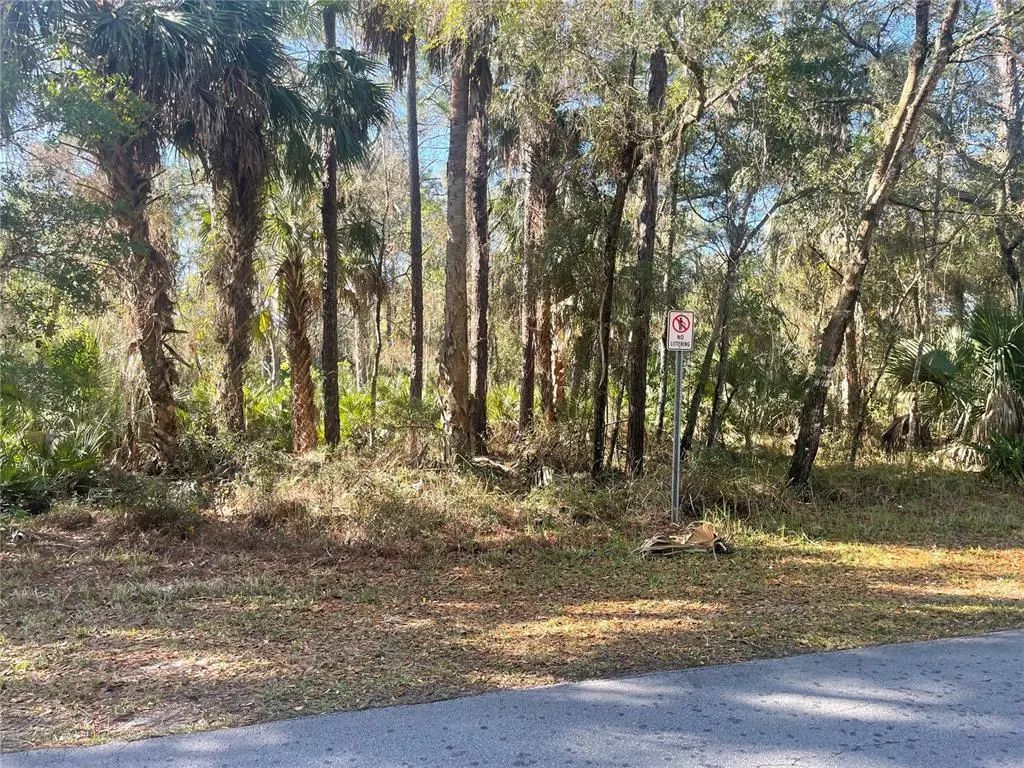 1120 Ne 3rd Street, CRYSTAL RIVER