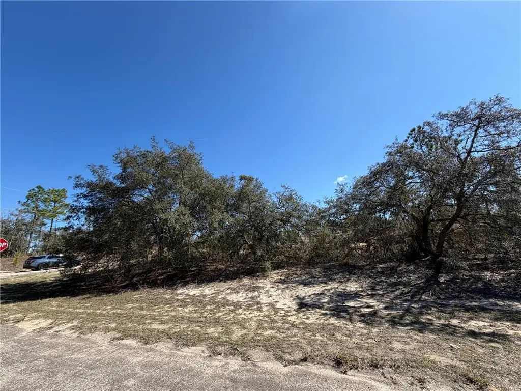 6725 N Killinger Terrace, CITRUS SPRINGS