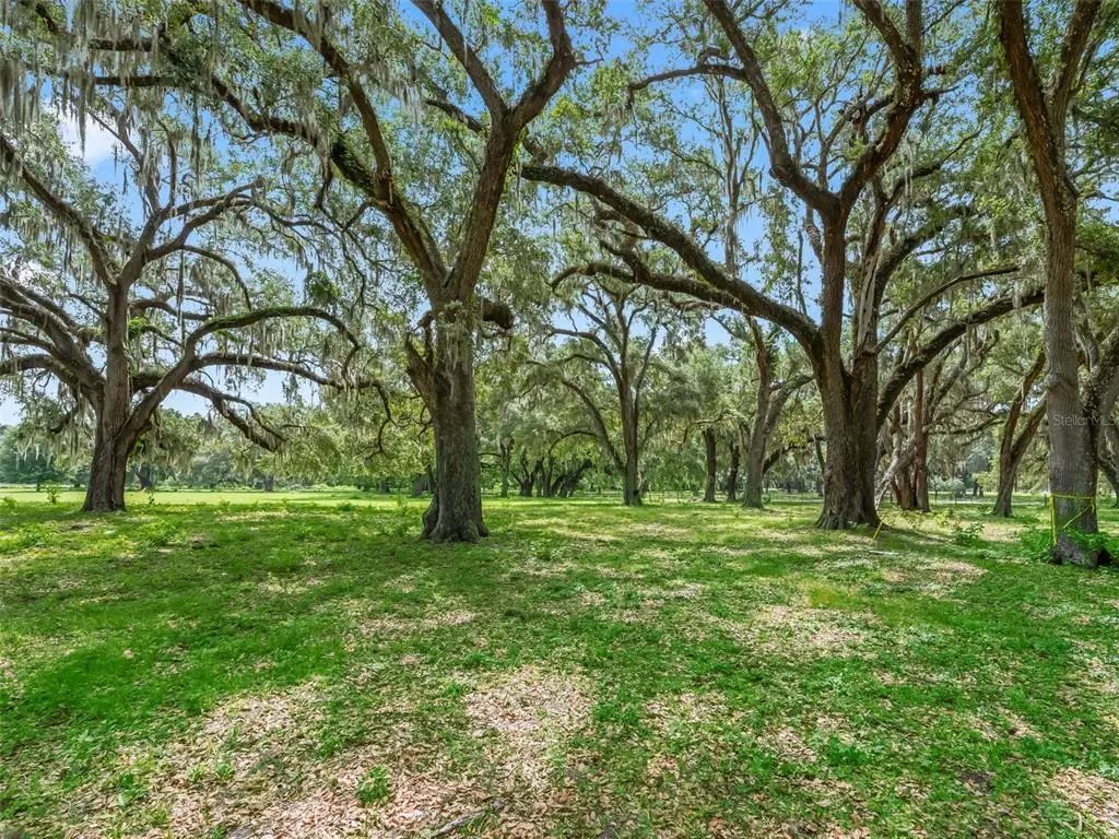 Lot 12 Cr 543, BUSHNELL