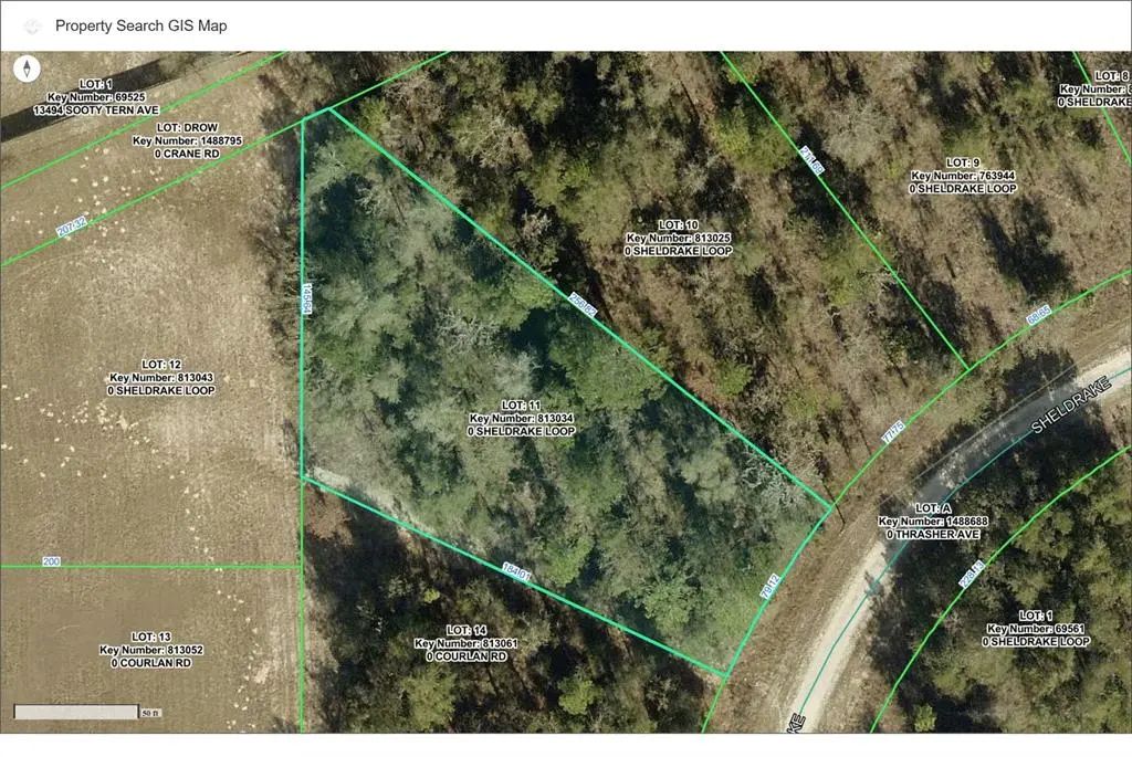 16139 Sheldrake Loop, WEEKI WACHEE