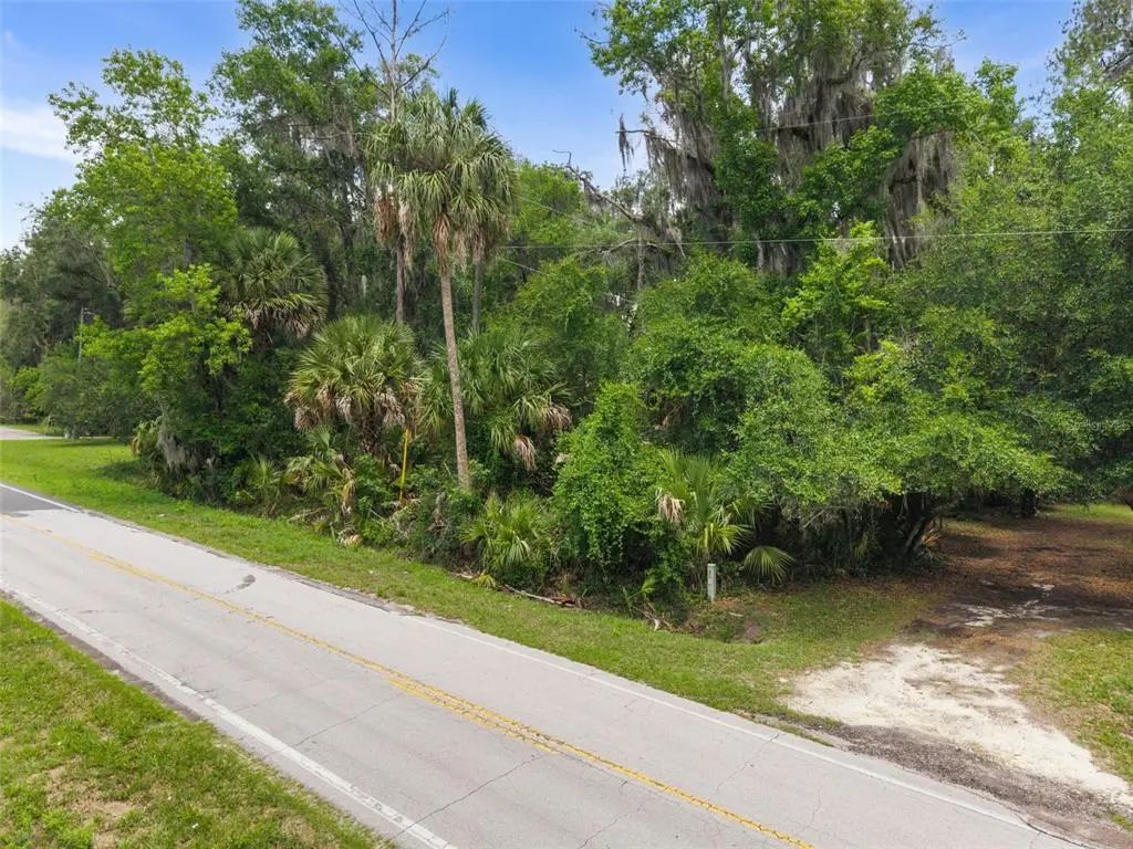 Tbd Se Wacahoota Road, MICANOPY